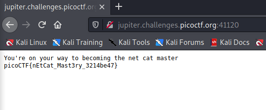 whats_a_netcat_1_0.png